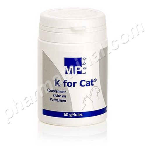 K FOR CAT                      	b/60      	gel      	 	 	MP LABO